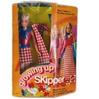 Barbie-Growing-Up-Skipper-MIB-A.jpg